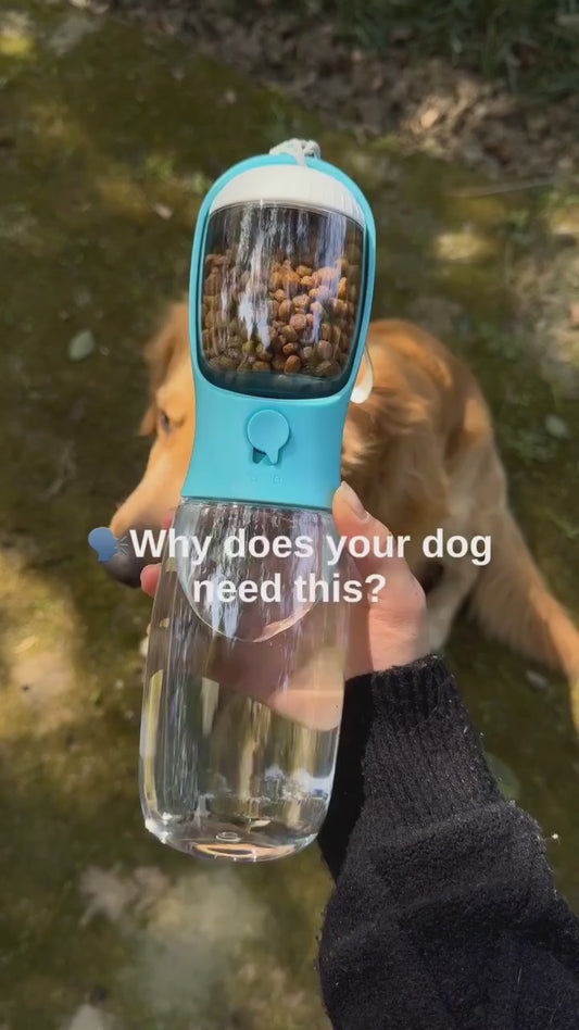 Portable Leakproof Pet Water Bottle with Foldable Drinking Bowl – Travel Water Dispenser for Dogs & Puppies